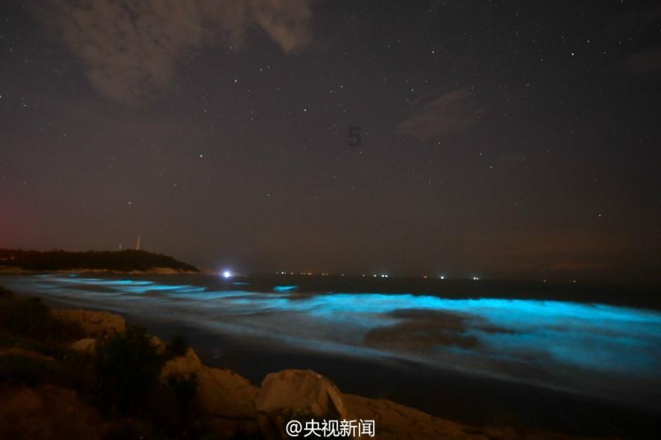 探索生活的意义是指什么?-一个领先的红迪网社区平台