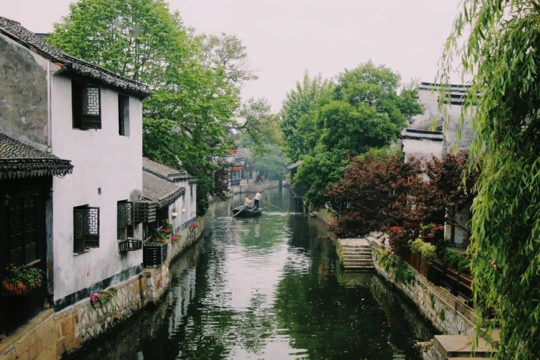 无休止的树